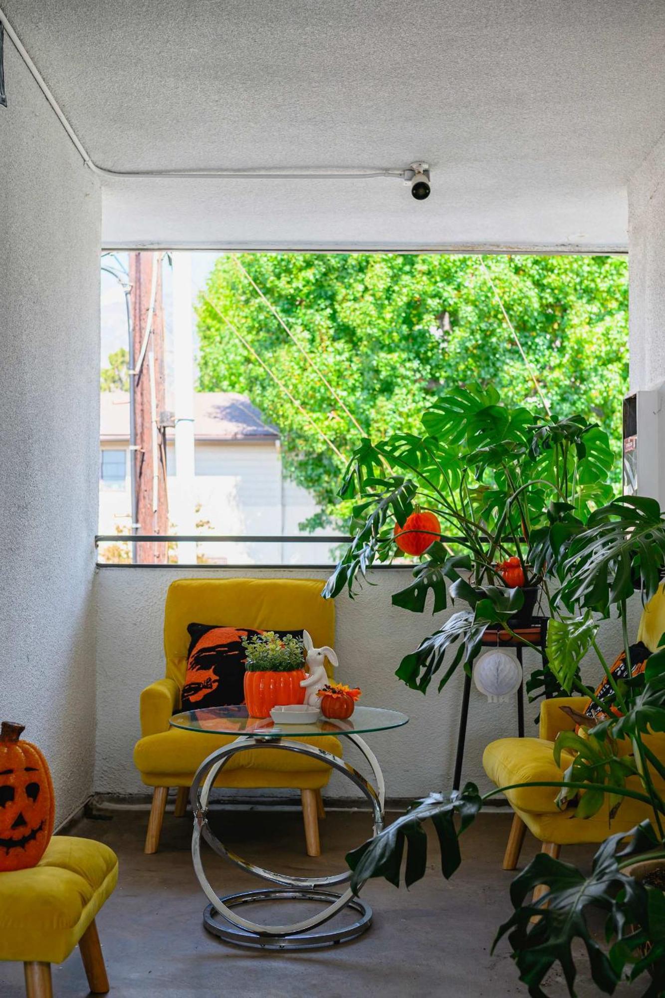 New Renovated 2B2B Apt Self Checkin Free Parking 1 帕萨迪纳 外观 照片